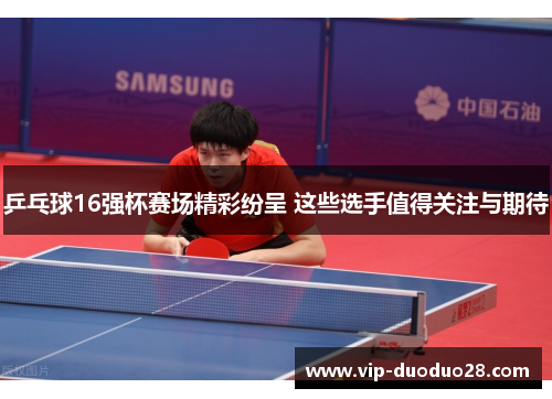 乒乓球16强杯赛场精彩纷呈 这些选手值得关注与期待