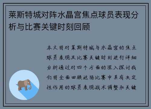 莱斯特城对阵水晶宫焦点球员表现分析与比赛关键时刻回顾