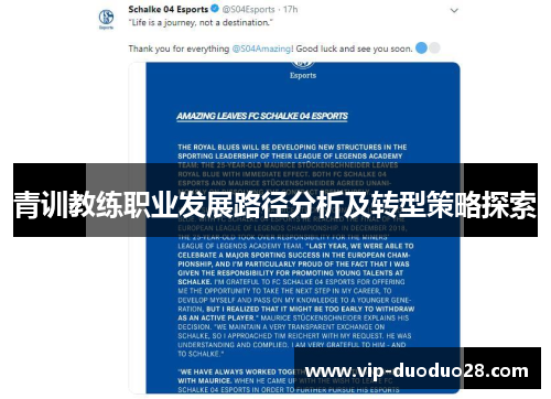 青训教练职业发展路径分析及转型策略探索